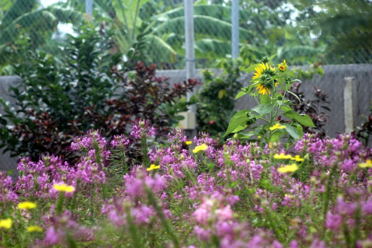 Thach Thao Homestay Mỹ Tho Kültér fotó