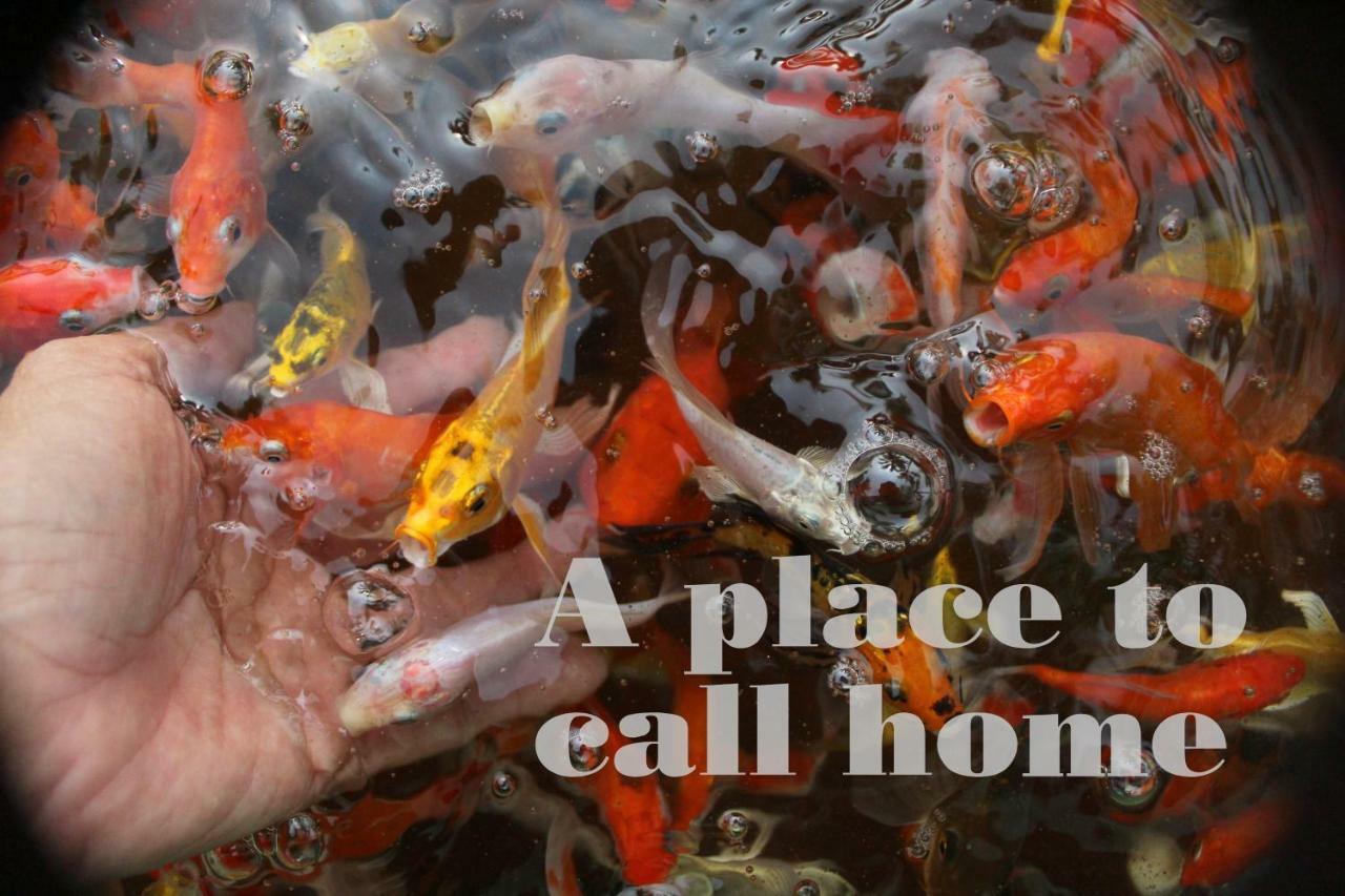 Thach Thao Homestay Mỹ Tho Kültér fotó