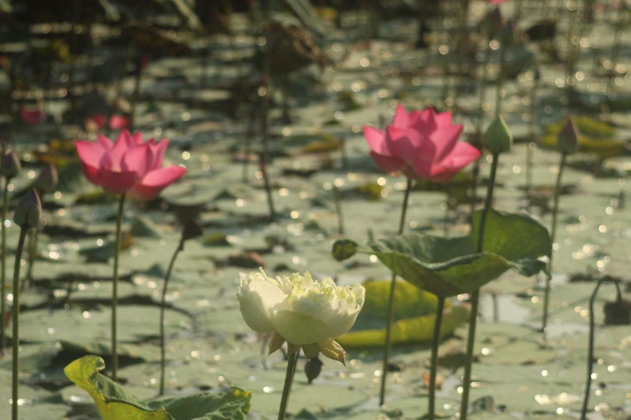 Thach Thao Homestay Mỹ Tho Kültér fotó